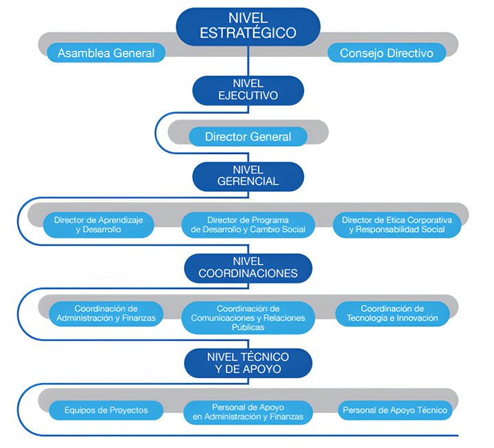 organigrama